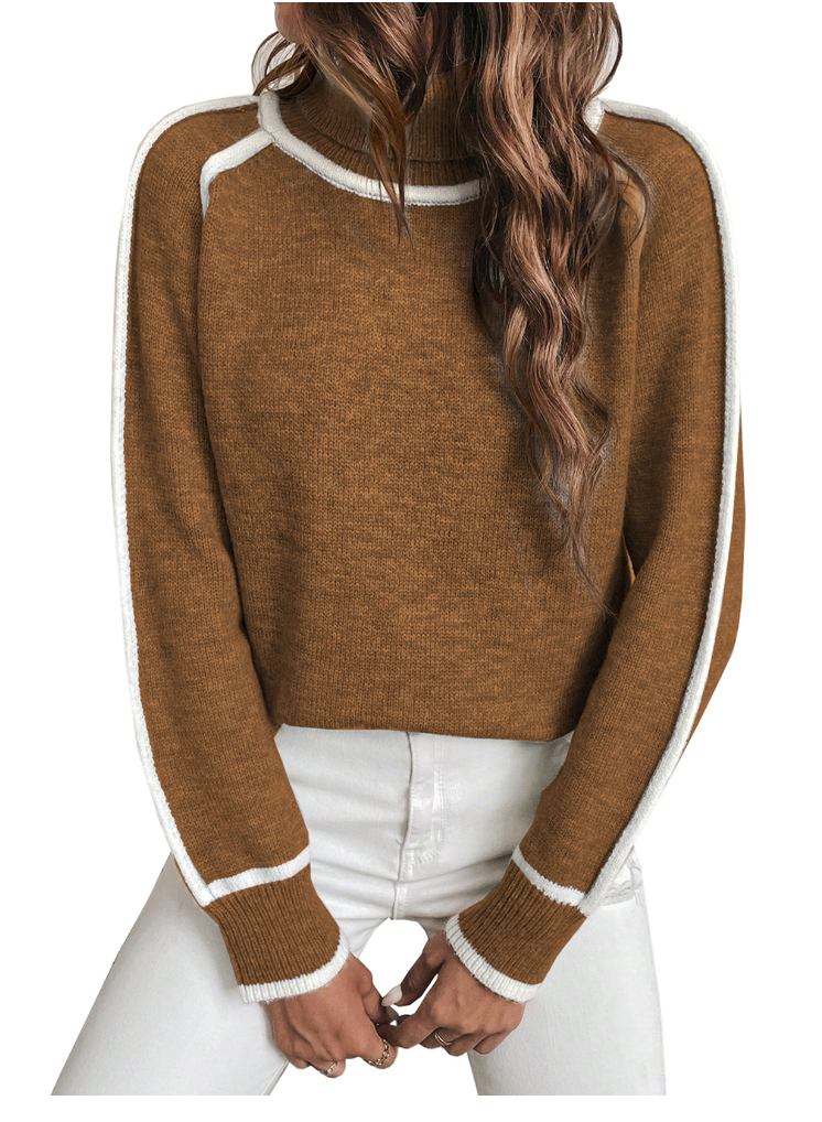 Wren turtleneck pullover sweater in brown, close-up front view